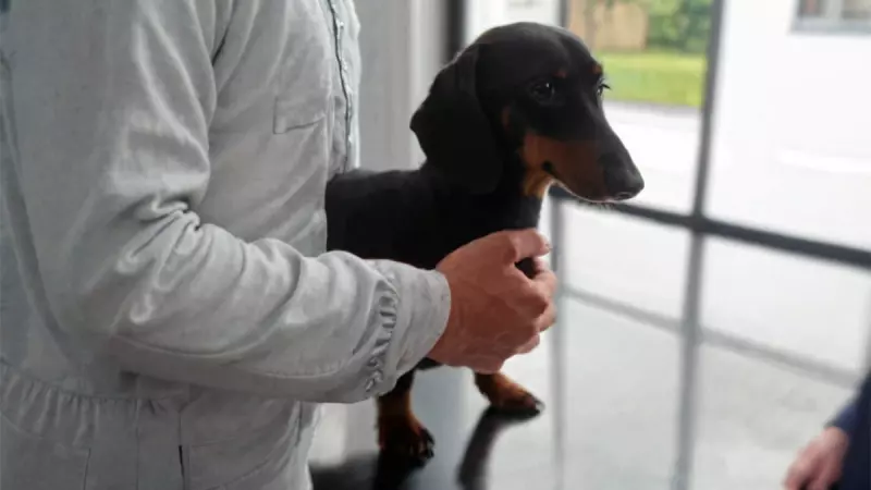 Рассказы для души