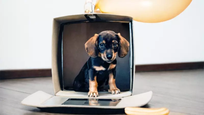 Рассказы для души