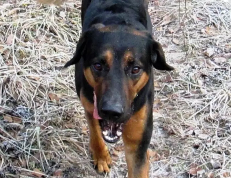 Рассказы для души