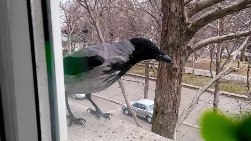 Рассказы для души