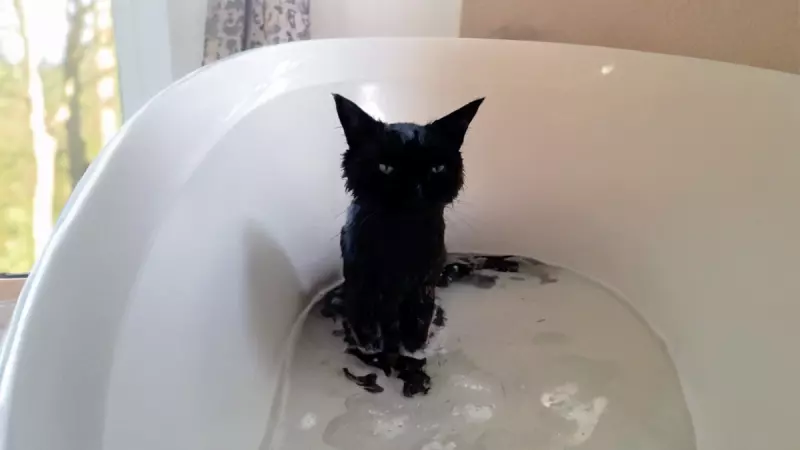 Рассказы для души