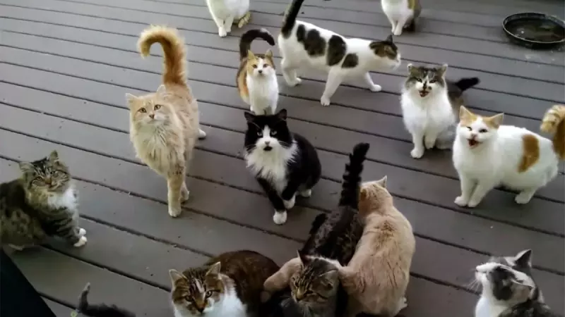 Рассказы для души