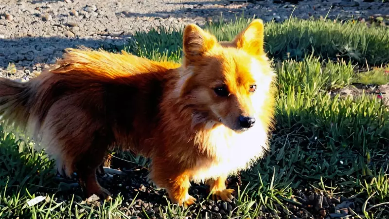 Рассказы для души