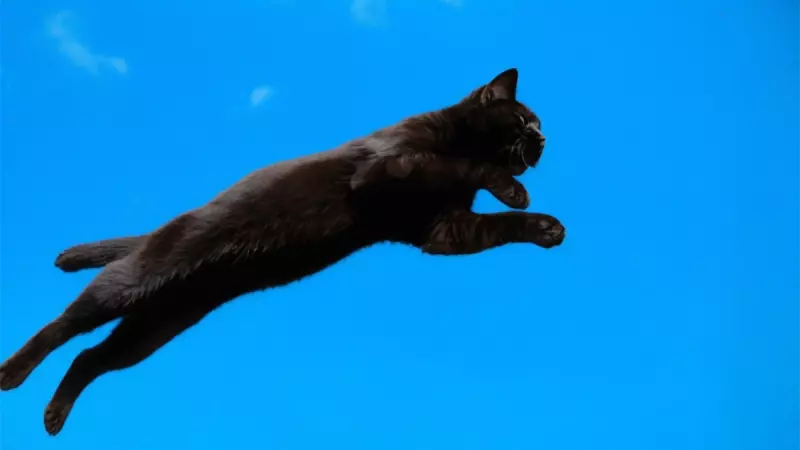 Рассказы для души