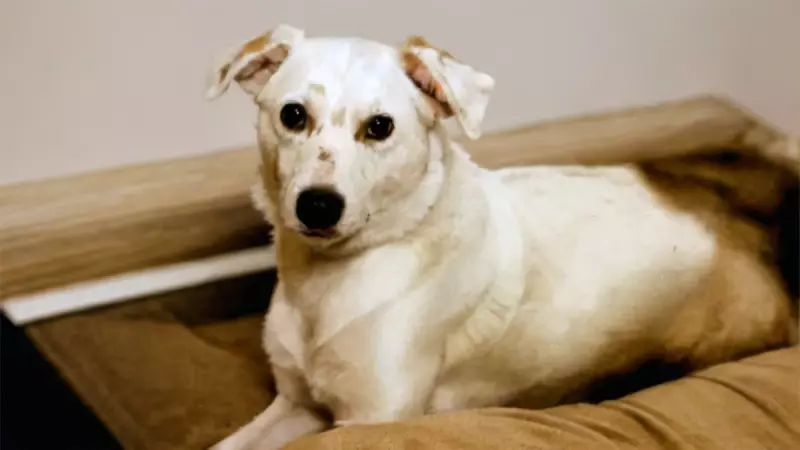 Рассказы для души