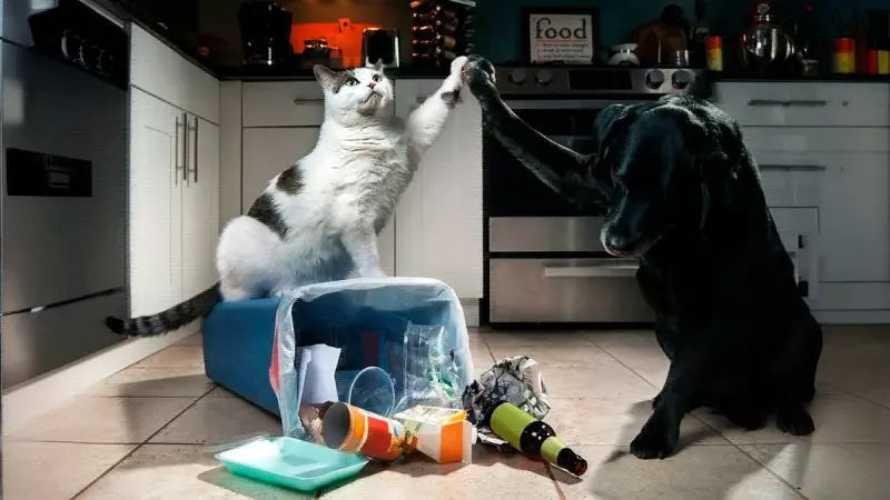 Рассказы для души