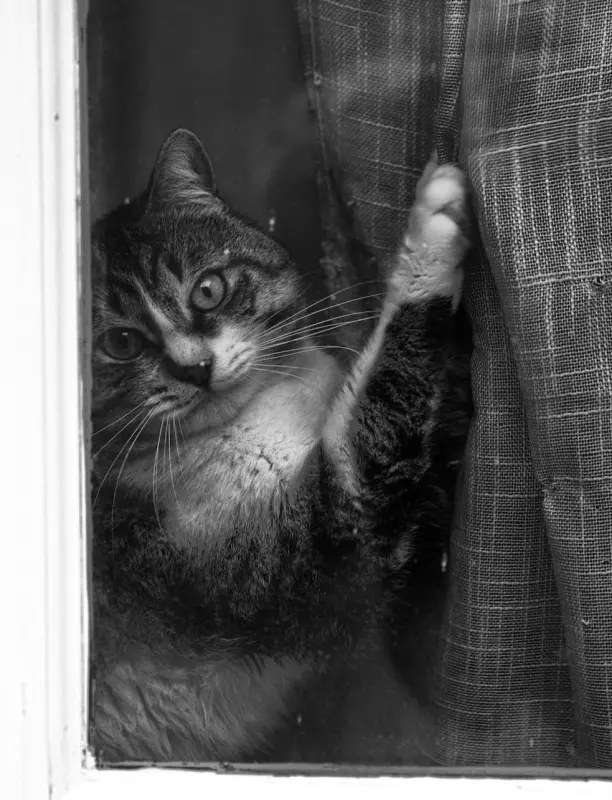 Рассказы для души