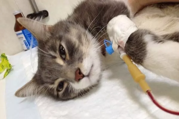 Рассказы для души