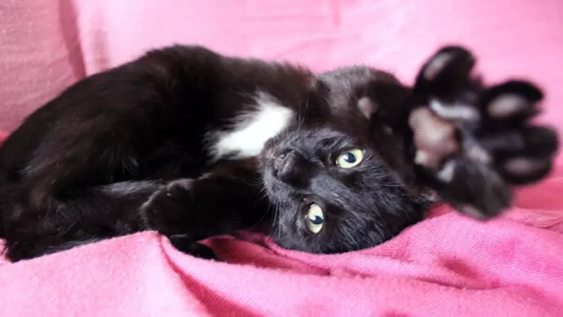 Рассказы для души