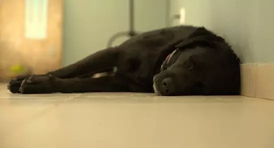 Рассказы для души