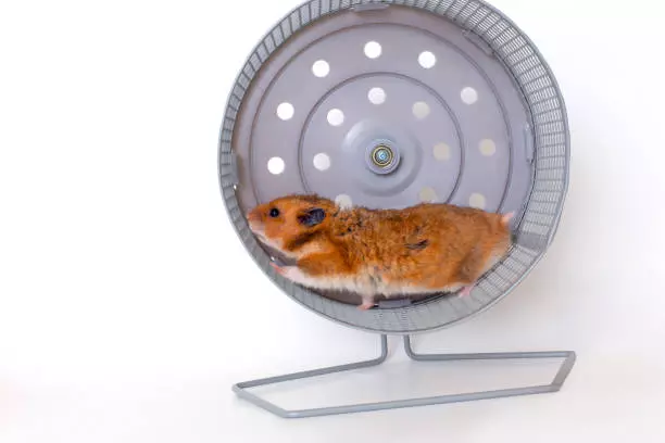 Рассказы для души