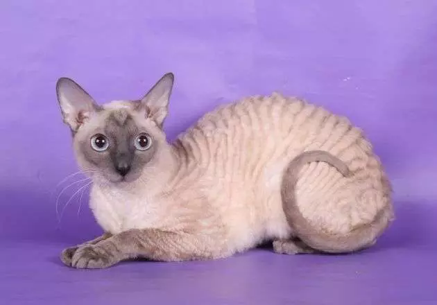 Рассказы для души