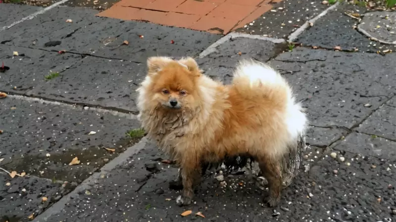 Рассказы для души