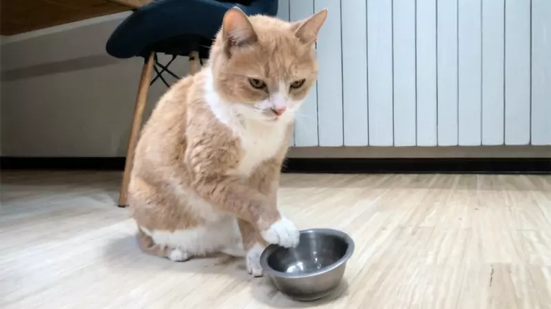 Рассказы для души