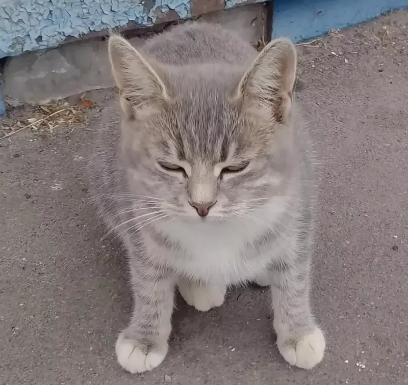 Рассказы для души