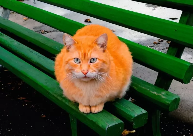 Рассказы для души