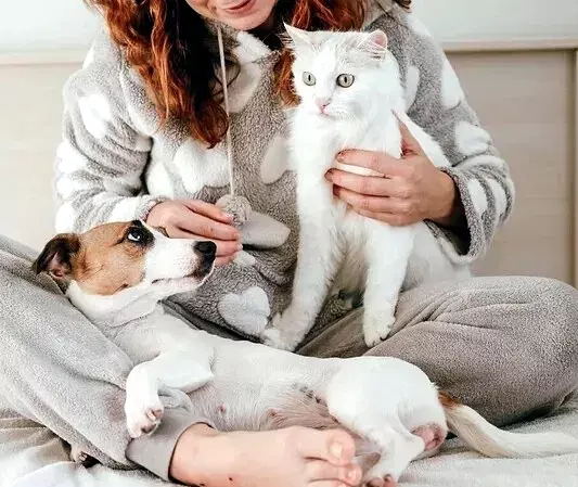 Рассказы для души