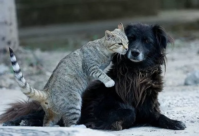 Рассказы для души