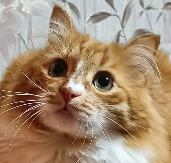 Рассказы для души