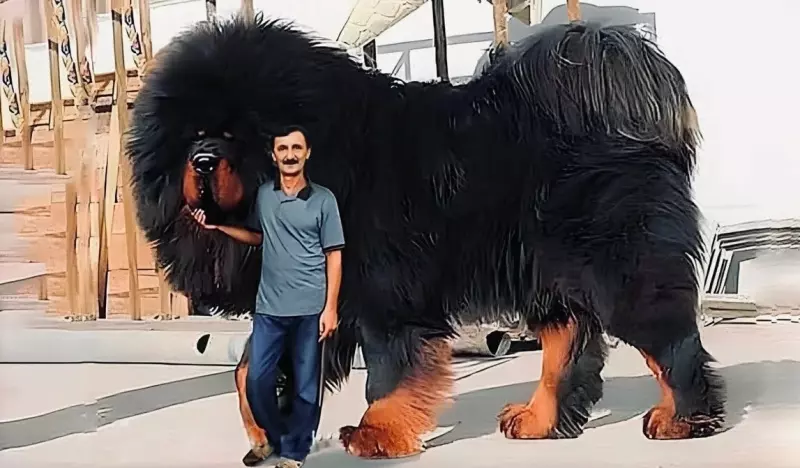 Рассказы для души