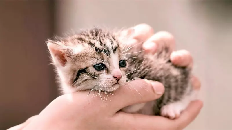 Рассказы для души