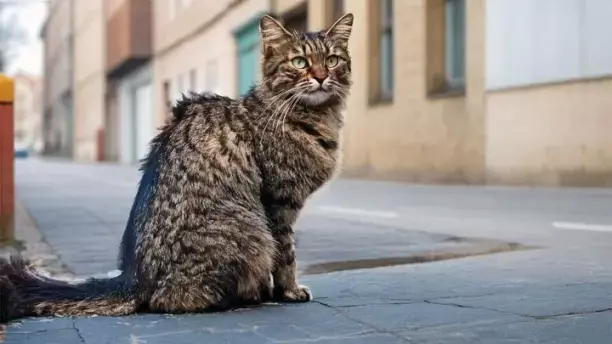 Рассказы для души