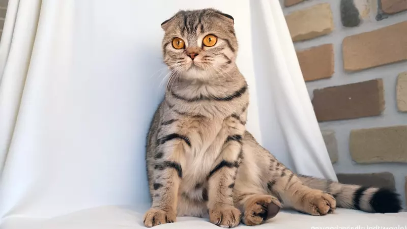 Рассказы для души