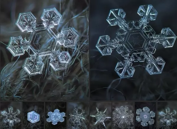 Арт галерея