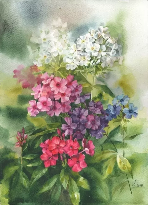 Арт галерея