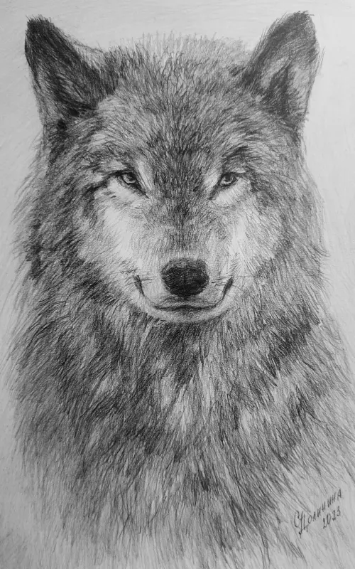 Арт галерея