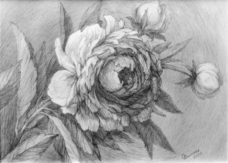 Арт галерея