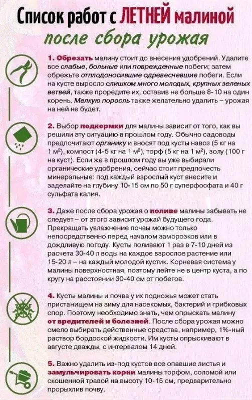 Садово-огородная  инфографика