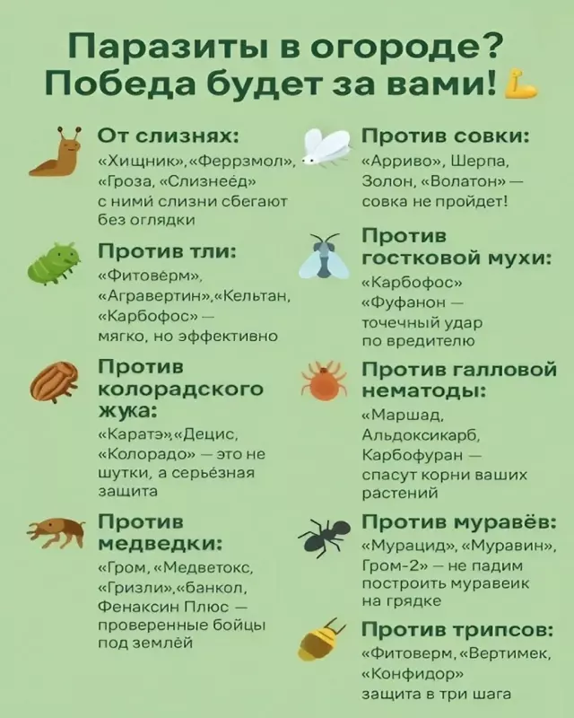 Садово-огородная  инфографика