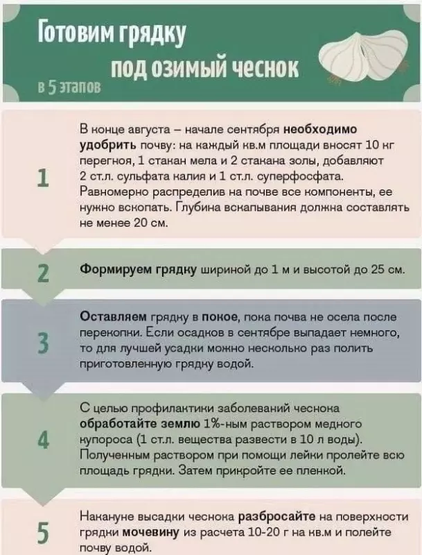 Садово-огородная  инфографика