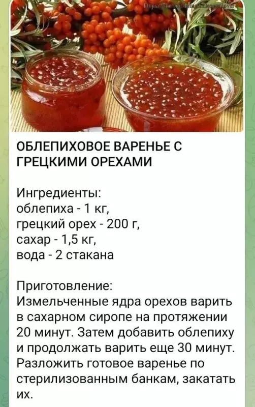 Кулинарная инфографика в рецептах
