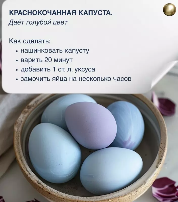 Кулинарная инфографика в рецептах