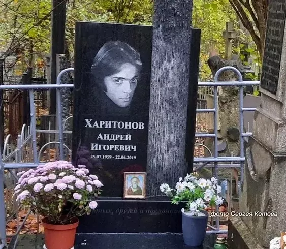 Селебрити-лайф