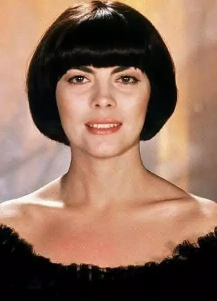 Селебрити-лайф