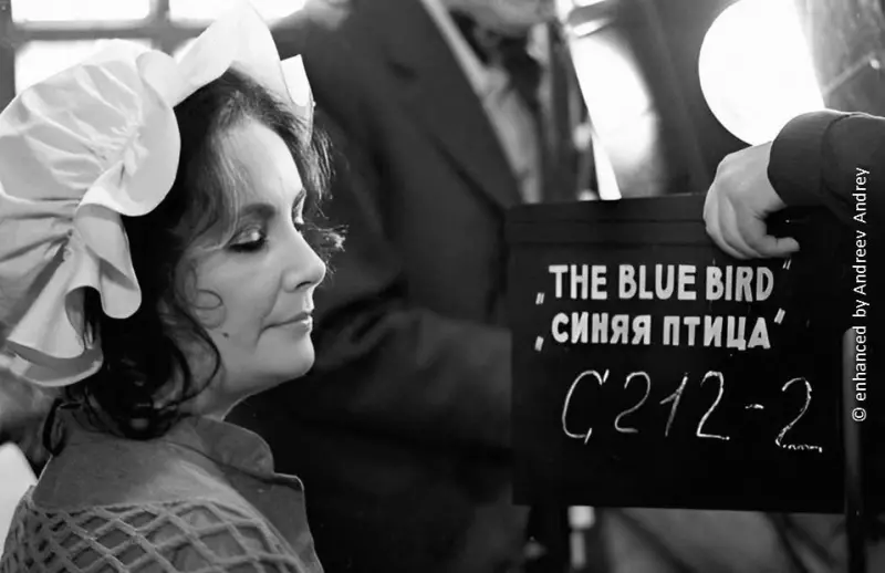 Селебрити-лайф