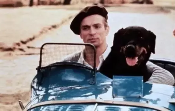 Селебрити-лайф