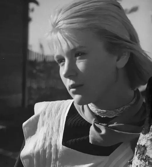 Селебрити-лайф