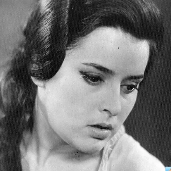 Селебрити-лайф