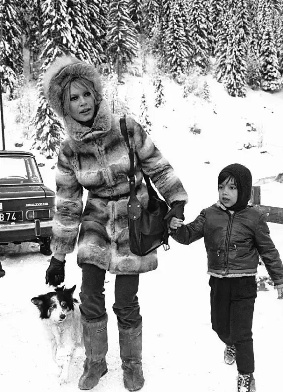 Селебрити-лайф