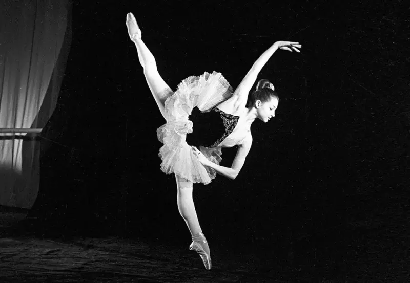 Селебрити-лайф