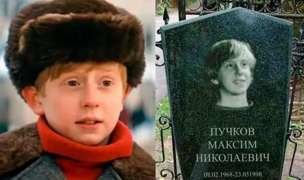 Селебрити-лайф