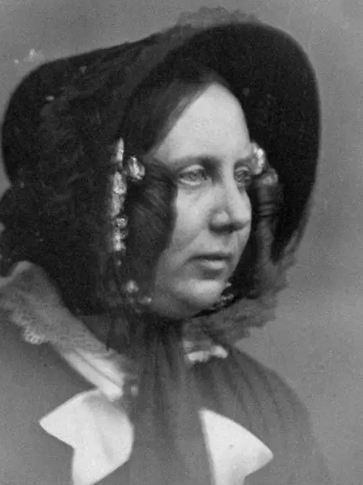 Селебрити-лайф