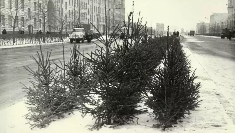 Назад в ХХ век... Вспомнить всё!