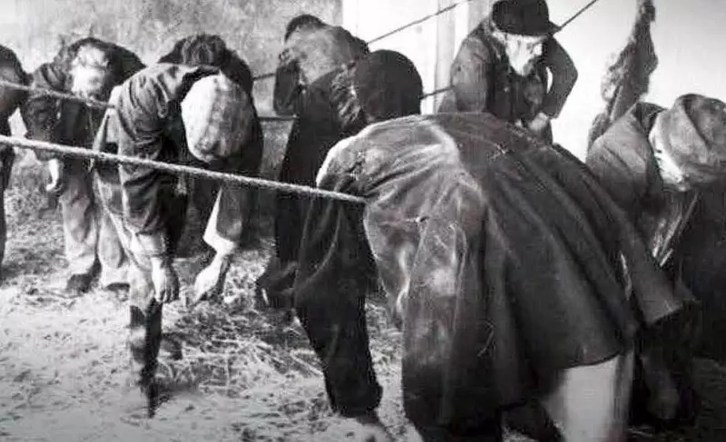 Назад в ХХ век... Вспомнить всё!