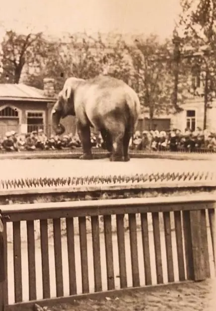 Назад в ХХ век... Вспомнить всё!