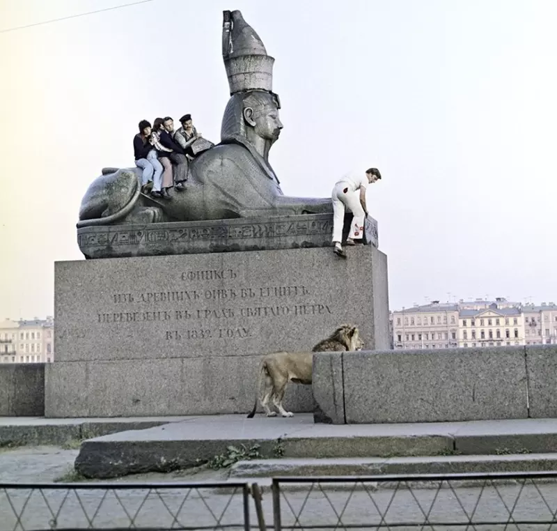 Назад в ХХ век... Вспомнить всё!
